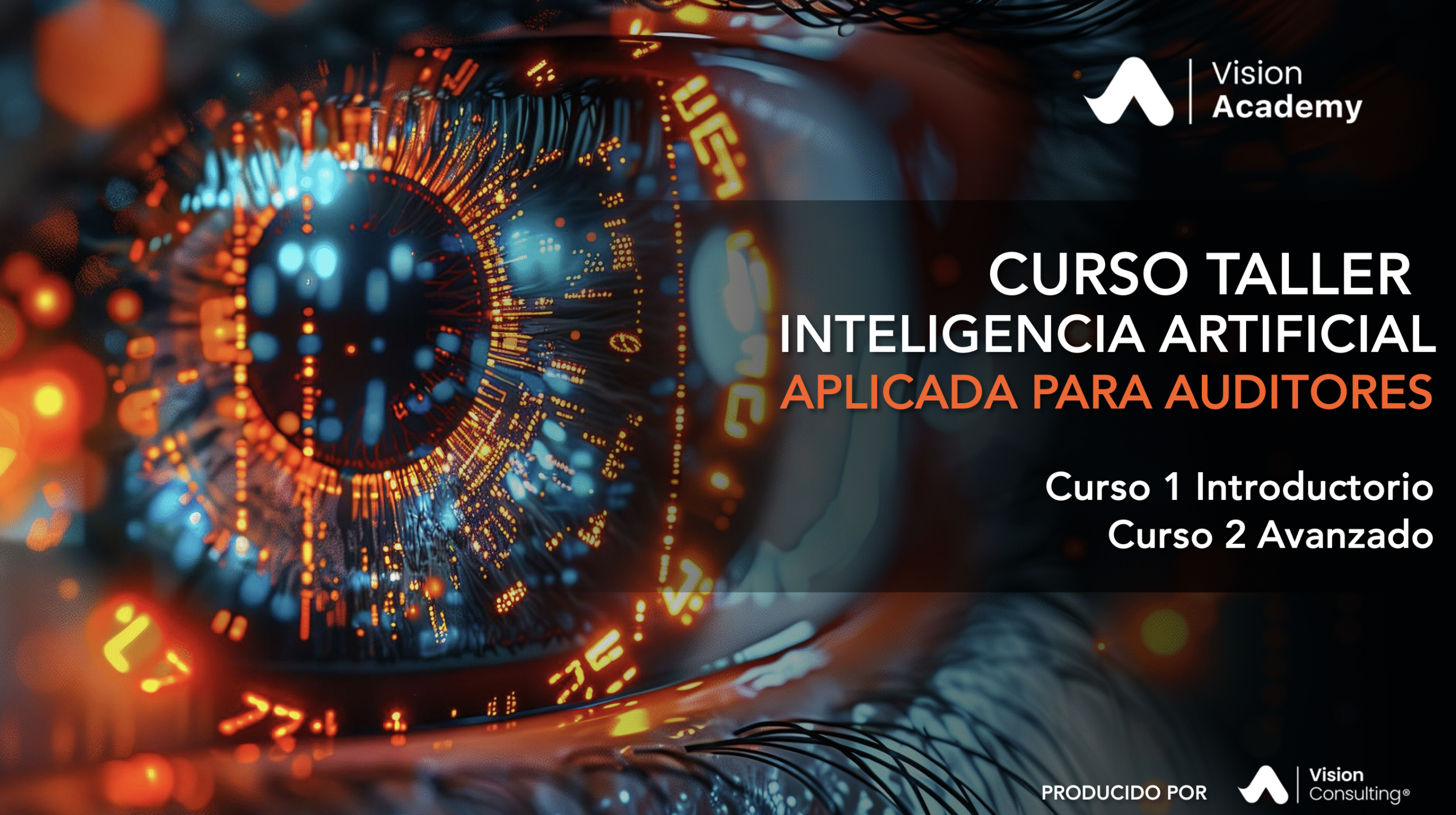 Curso Taller Inteligencia Artificial Aplicada para Auditores – Julio 2025